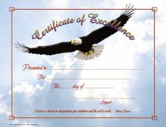 (pkg 25) Certificate / Certificate of Excellence