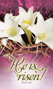 Announcement Folder | Easter | He is Risen!