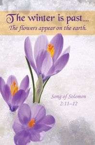 Standard Bulletin | Inspirational |