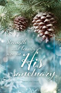 Winter - Strength and beauty - Standard Bulletin