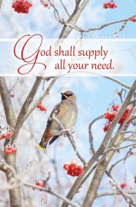 Inspirational - God Shall Supply Your Need, Philippians 4:19 (KJV) - Pkg 100 - Standard Bulletin