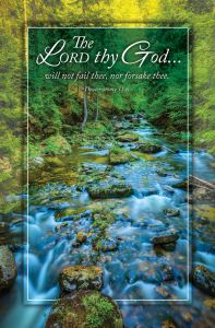 Inspirational-The Lord thy God, Deut 31:6 (KJV)-Pkg 100-Standard Bulletin