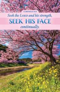 Inspirational - Seek the Lord, 1 Chronicles 16:11 (KJV) - Pkg 100 - Standard Bulletin