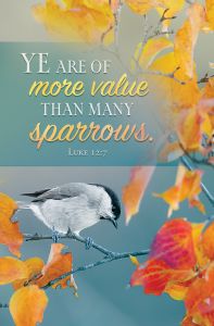 Inspirational - Ye are of more value - Luke 12:7 (KJV) - Pkg 100 - Standard Bulletin
