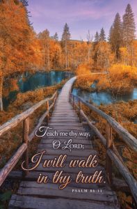Inspirational – Teach Me Thy Way – Ps 86:11 – Pkg 100 – Standard Bulletin