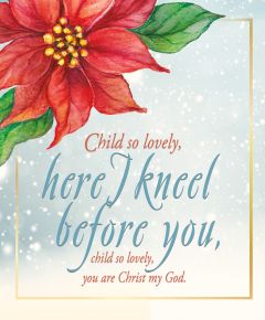 Christmas - Poinsettia - Legal Bulletin