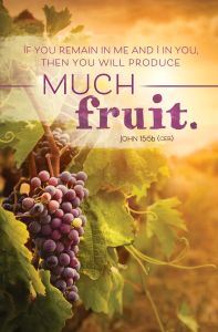 General - Produce Much Fruit - John 15:5b (CEB) - Pkg 100 - Standard Bulletin