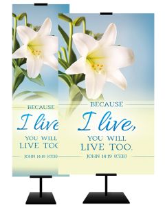 Easter - Because I Live - John 14:19 (CEB) - Banner