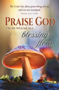 General – Praise God – Ps 126:3 (CEB) – Pkg 100 – Standard Bulletin