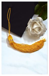 Graduation - Graduation Cap & Diploma - Multiple Colors - Customizable Program Cover