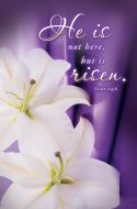 Easter – He is not here, Luke 24:6 (KJV) – Pkg 100 – Bulletin – Standard
